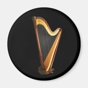 Imã Pedal Harp Magnet