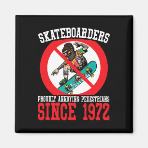 Imã Pedestres Irritantes Skate Skateboard Skate