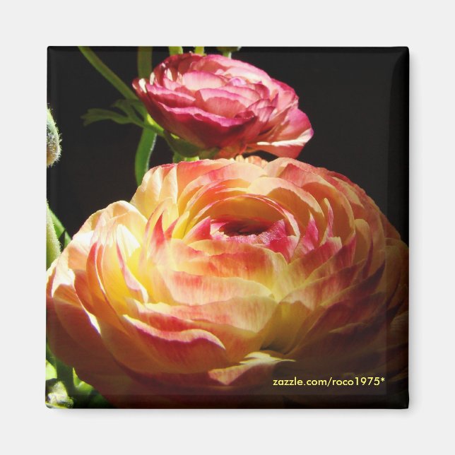 Imã Pedras de Passagem (Frente)