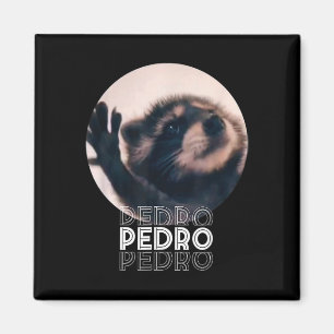 Imã Pedro Racoon Dance Popular Internet Memache D