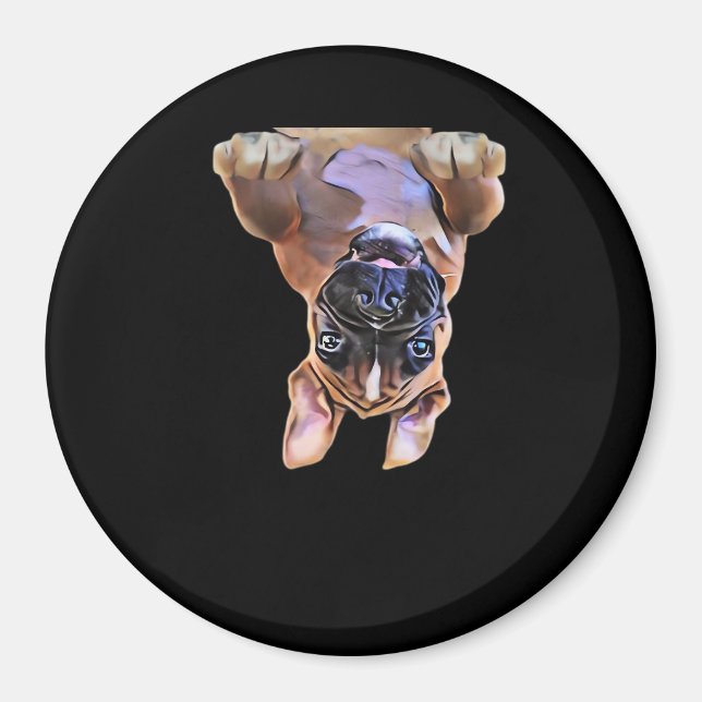 Imã Peekaboo Boxer (Frente)