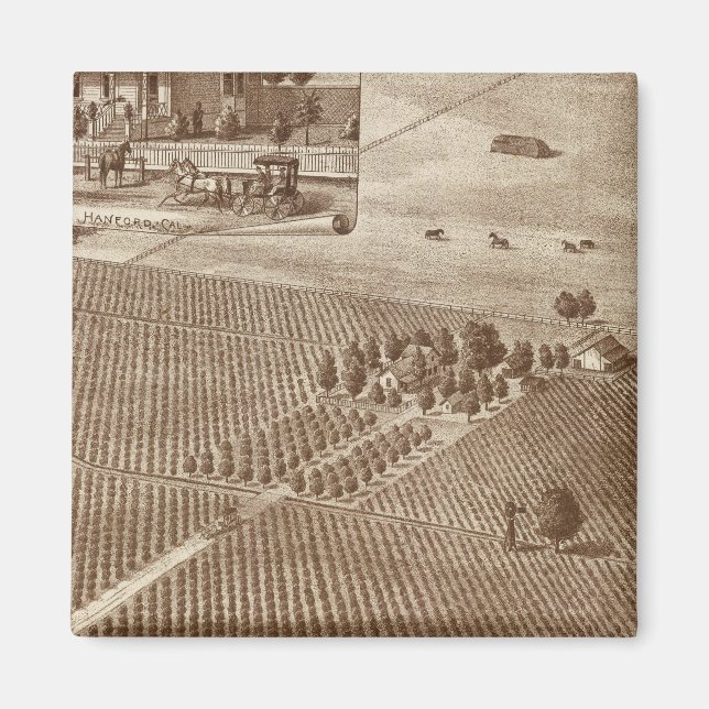 Imã Peerless Vineyard, Hanford, Cal (Frente)