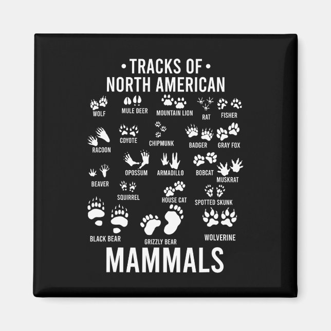 Imã Pegadas Da Vida Selvagem Dos Mamíferos Norte-Ameri (Frente)