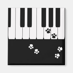 Imã Pegadas de gato