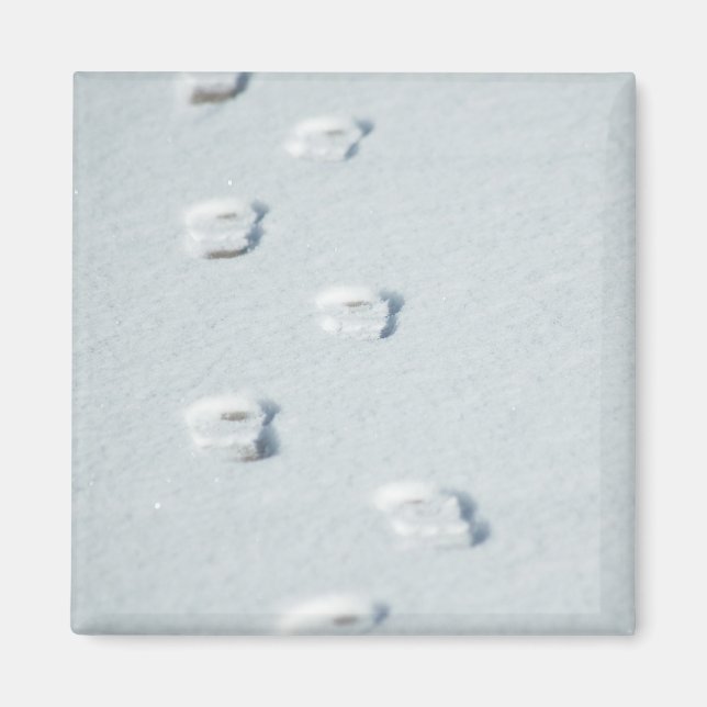 Imã Pegadas em neve (Frente)