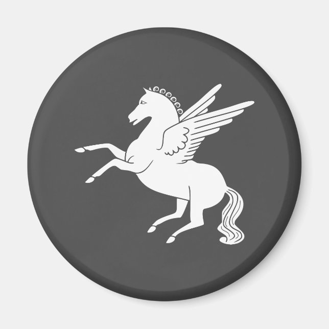 Imã Pegasus (Frente)