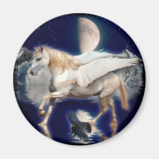 IMÃ PEGASUS E RAVEN PRETO