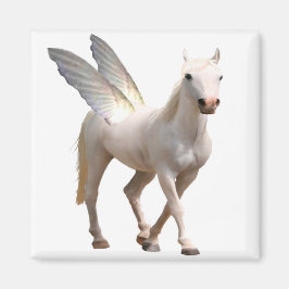 Imã Pegasus Magnet