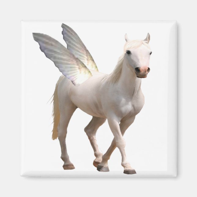 Imã Pegasus Magnet (Frente)