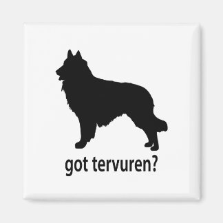 Imã Pegou Belga Tervuren