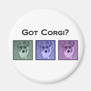 Imã Pegou Corgi? Corgis