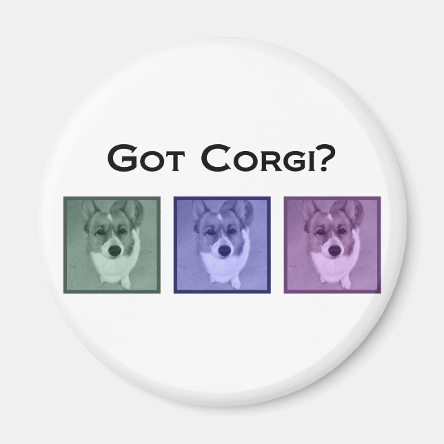 Imã Pegou Corgi? Corgis (Frente)