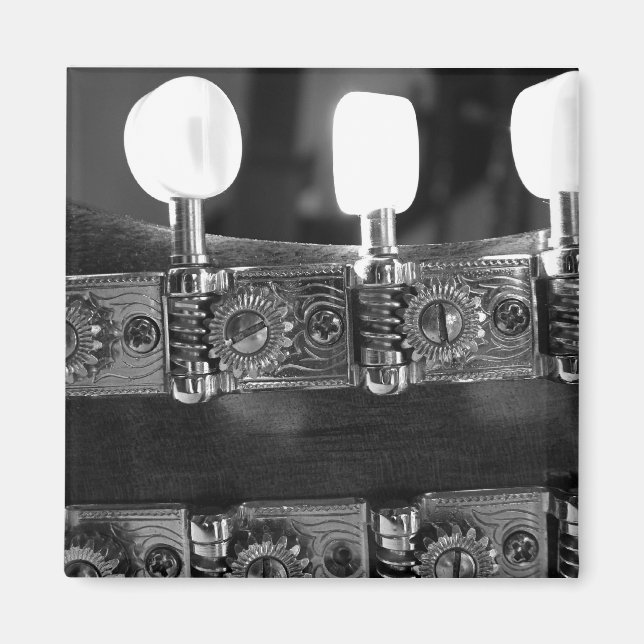 Imã Pegs de Ajuste de Mandolin (Frente)