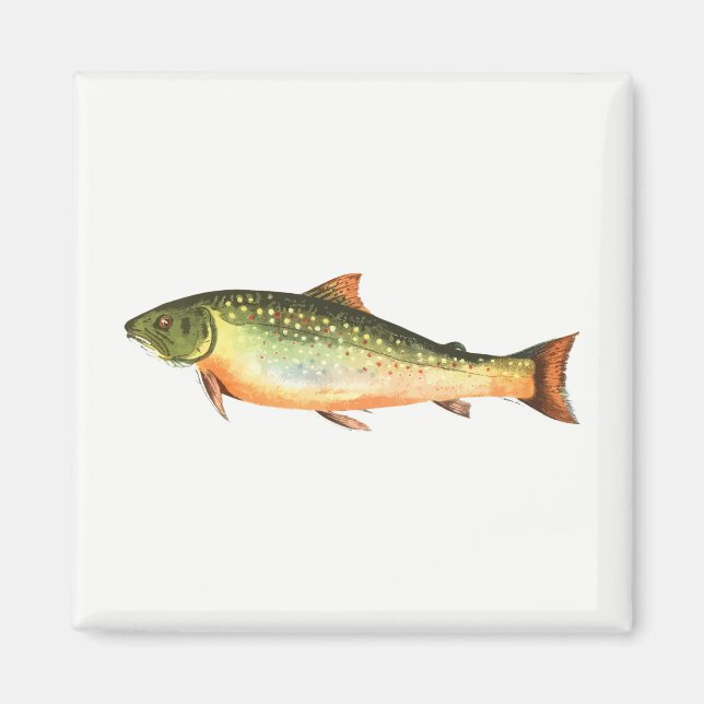 Imã Peixe (Frente)