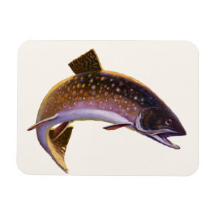 Ímã Peixe Antigo, Pescador de Pesca Esportiva