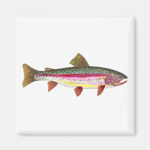 Imã Peixe-Arco-Íris