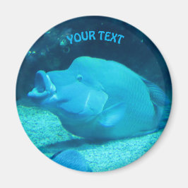 Imã Peixe Azul Grande