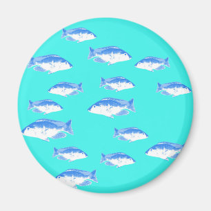 Imã Peixe azul na turquesa