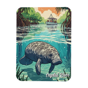 Ímã Peixe-boi no Crystal River Flórida