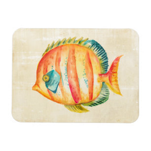 Ímã Peixe de Aquário Colorido