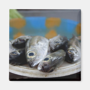 Imã Peixe fresco no Mercado de Peixe