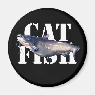 Imã Peixe-gato