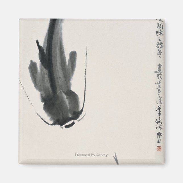 Imã Peixe-gato chinês (Frente)