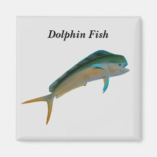 Imã Peixe-golfinho