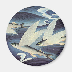 Imã Peixe Japonês Voador Antigo no Oceano, Japonismo
