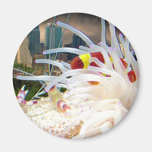 Imã Peixe-Palha (Frente)