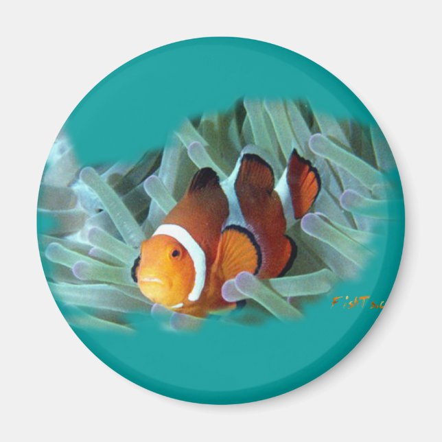 Imã Peixe-palha H2Oasis (Frente)
