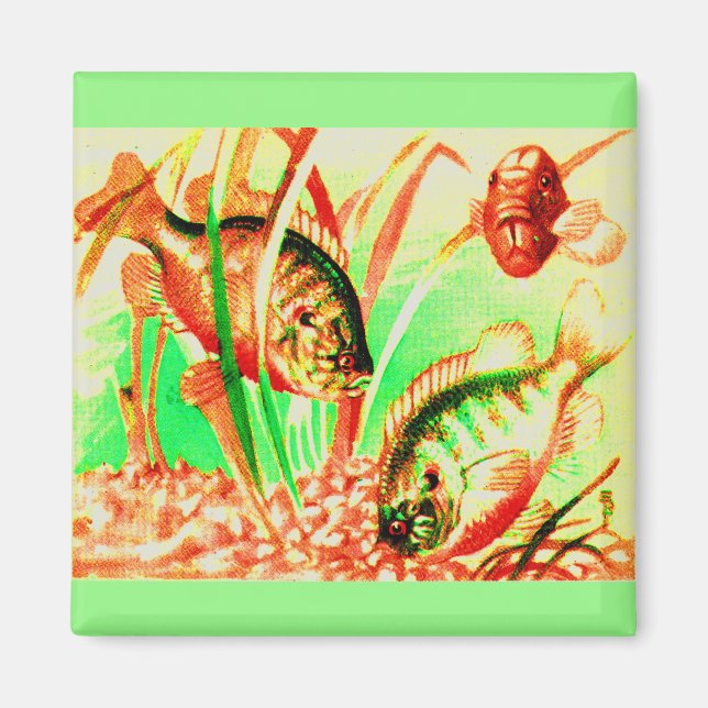 Imã peixe-sol água fresca (Frente)
