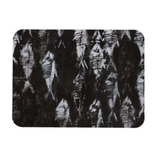 Ímã Peixes Brancos Fósseis em Fundo Negro