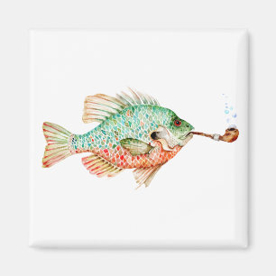 Imã Peixes com tubagem
