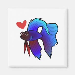 Imã Peixes de Betta/amor de combate Siamese dos peixes