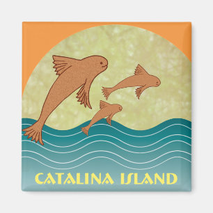 Imã Peixes de vôo de Catalina