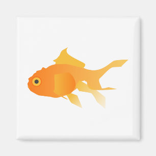 Imã Peixes dourados