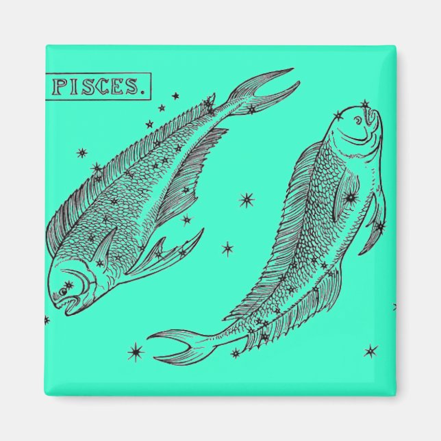 Imã Peixes Magnet (Frente)