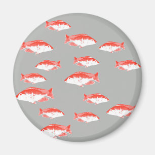 Imã Peixes vermelhos e cinzas
