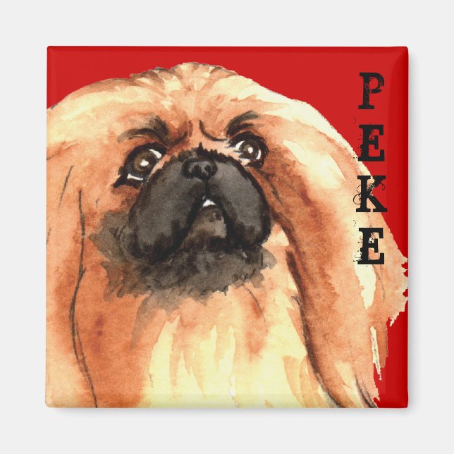 Imã Pekingese Color Block (Frente)