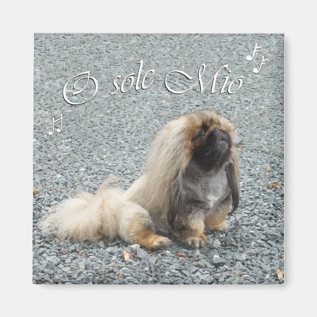 Imã Pekingese Magnet (Frente)