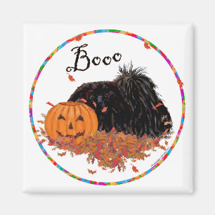 Imã Pekingese Magnet