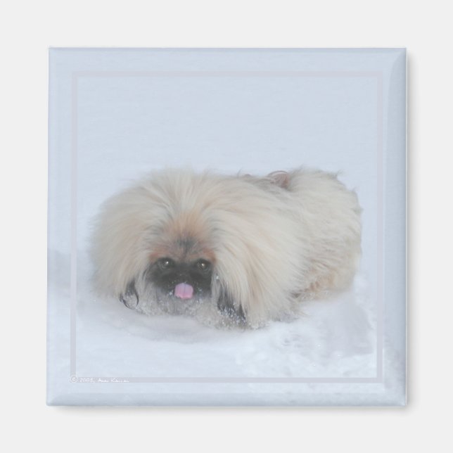 Imã Pekingese Magnet (Frente)