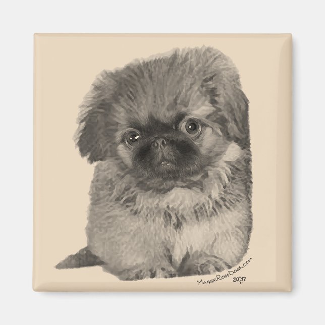 Imã Pekingese Puppy (Frente)
