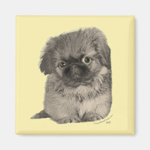 Imã Pekingese Puppy Amarelo