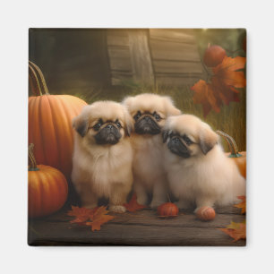 Imã Pekingese Puppy Autumn Delight Pumpkin
