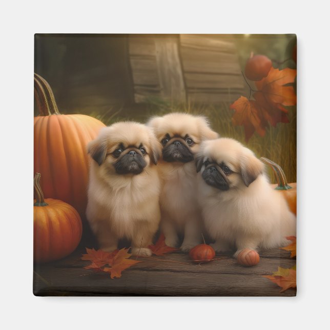 Imã Pekingese Puppy Autumn Delight Pumpkin (Frente)