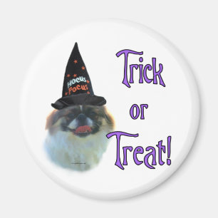 Imã Pekingese Trick