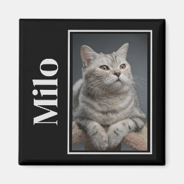 Imã Pela Ponte Do Arco-Íris Silver Pet Cat Memorial