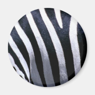 Imã Pele da zebra